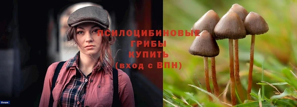 ECSTASY Алексин