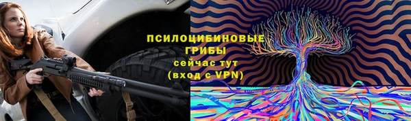 прущая мука Армянск