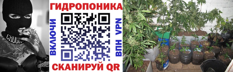 Бошки Шишки сатива Купить закладки Горно-Алтайск